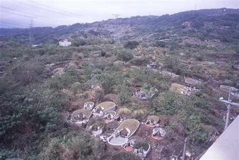 觀音山墳墓|墓區歷史